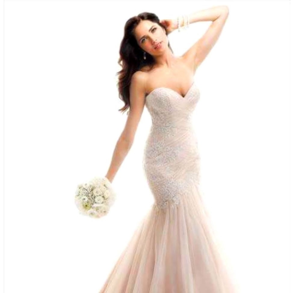 Never worn Maggie Soterro wedding dress and veil